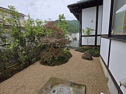 坪庭から裏庭　枝垂れモミジ　景石　伊勢砂利　地被